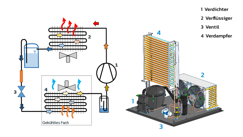 Schematische Darstellung des Kühlkreislaufs in einem professionellen Kühlschrank